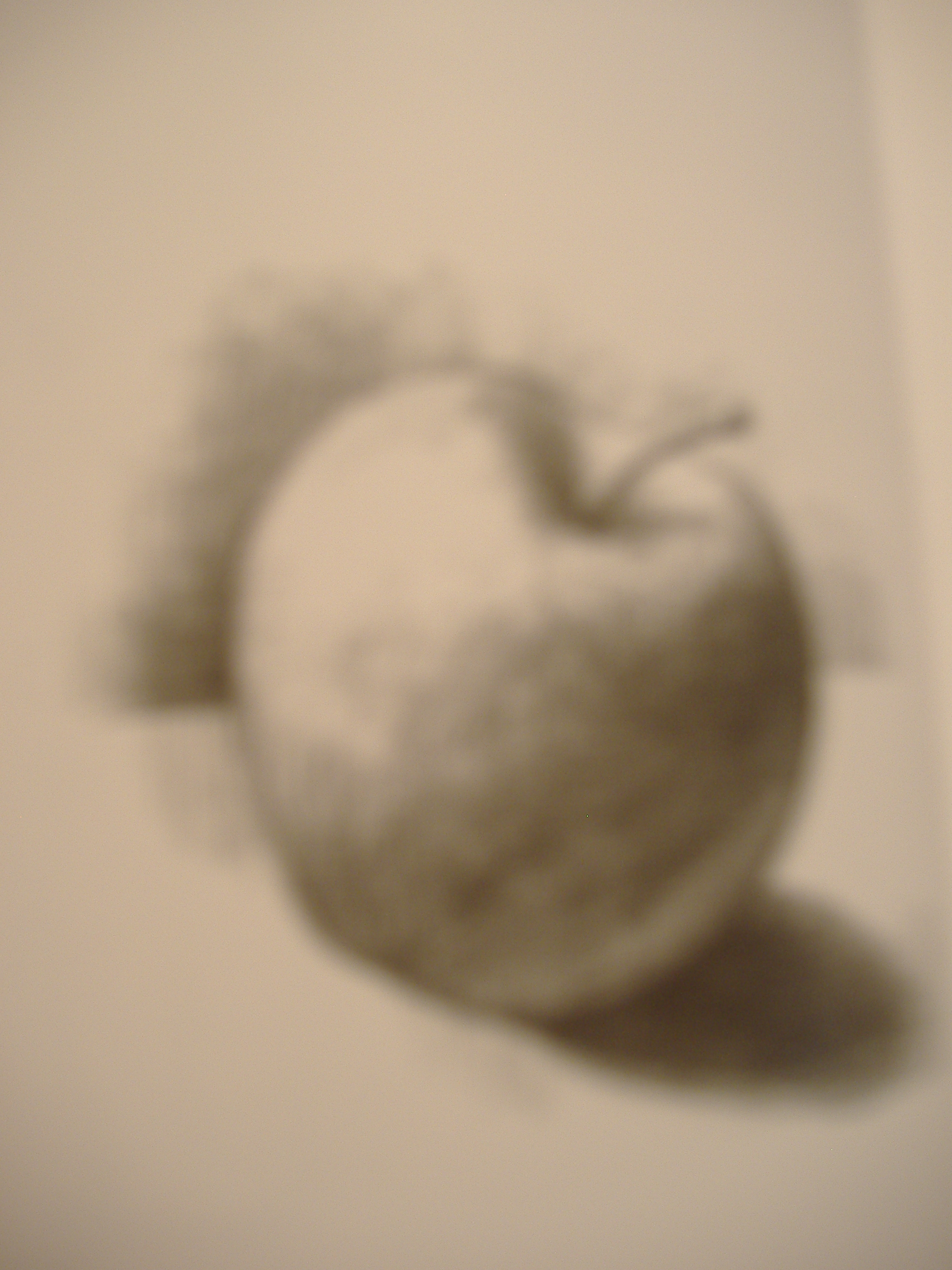 dscf1485.jpg