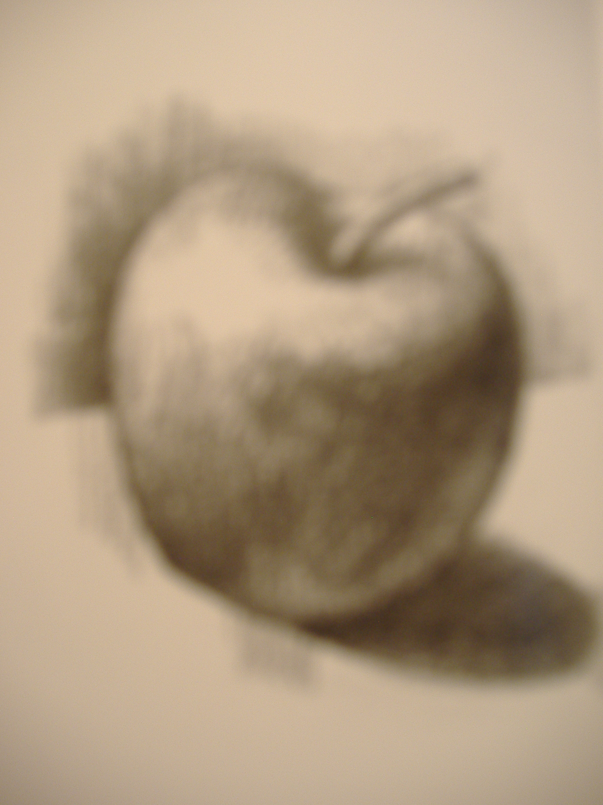 dscf1491.jpg