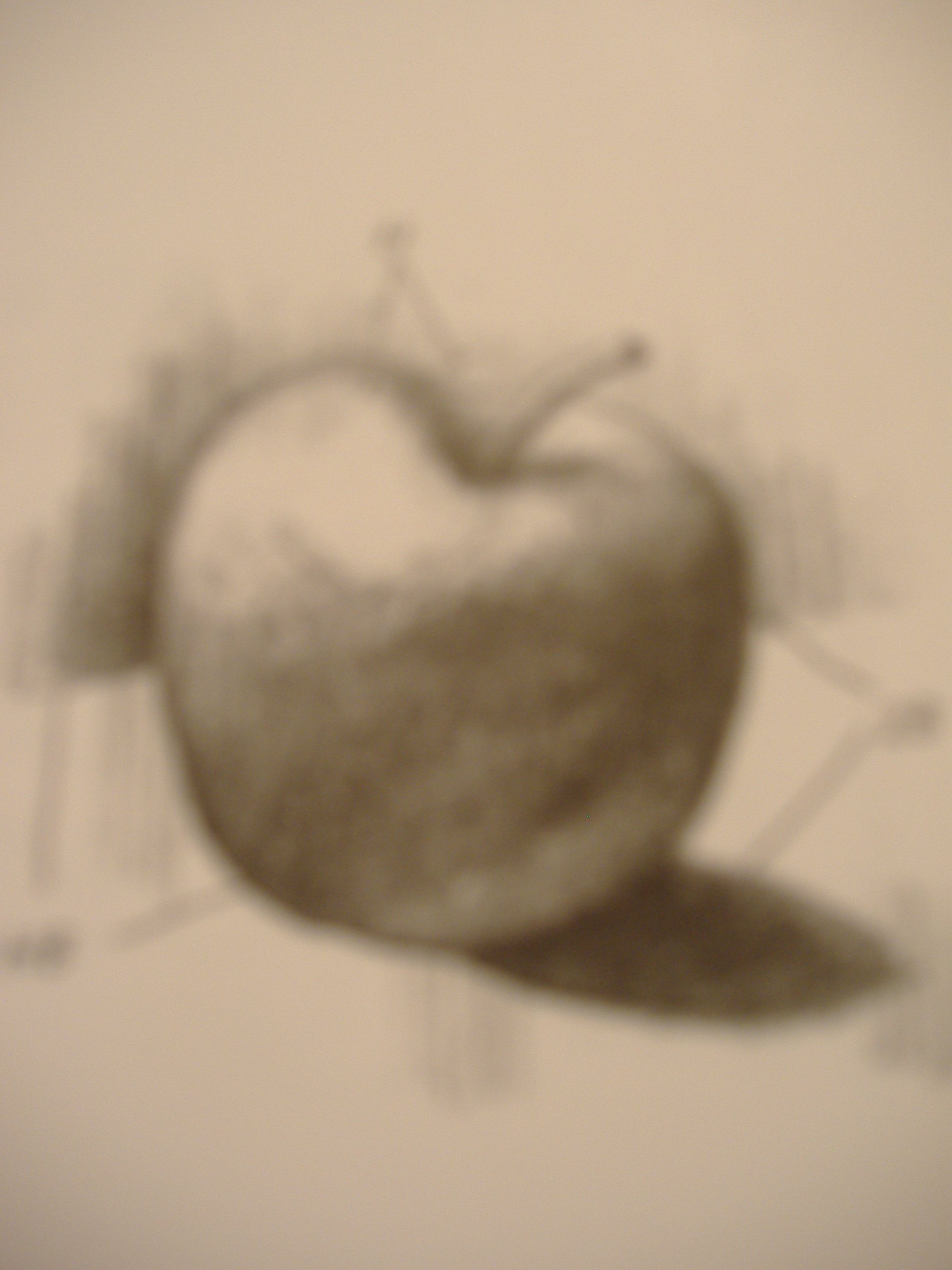 dscf1497.jpg